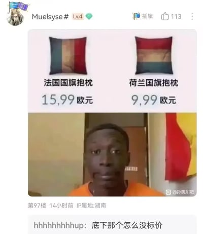 这张梗图由两部分拼接而成：上半部分是两款国旗主题抱枕的商品展示，左侧是标注为「法国国旗抱枕」的商品，售价15,99欧元，右侧是「荷兰国旗抱枕」，售价9,99欧元；下半部分是一位黑人小哥的照片，他身后的旗帜配色刚好和两款抱枕的配色颠倒。结合下方网友评论「底下那个怎么没标价」，玩了一个视觉+调侃的梗，将黑人小哥身后的旗帜调侃成未标价的「反向国旗抱枕」，制造出搞笑戏谑的效果。