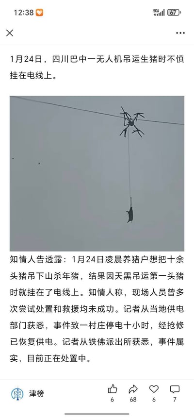 社交媒体截图显示一则新闻：四川巴中一无人机在吊运生猪时不慎将猪挂在电线上，导致村庄停电十小时。截图中包含事件经过的文字描述和一张无人机与生猪悬挂在电线上的现场照片，内容为真实发生的意外事件。
