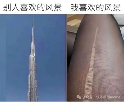 图片为左右对比结构，左侧标注“别人喜欢的风景”，展示了迪拜哈利法塔在蓝天背景下的高耸景象，象征传统意义上的壮丽风景；右侧标注“我喜欢的风景”，则是一个金属保温杯的特写，背景可见室内天花板灯光，代表日常生活中平凡却个人化的喜好。通过宏大景观与微小日常物品的反差，幽默地表达了个人审美与大众认知的差异，带有自嘲和轻松的喜剧效果。