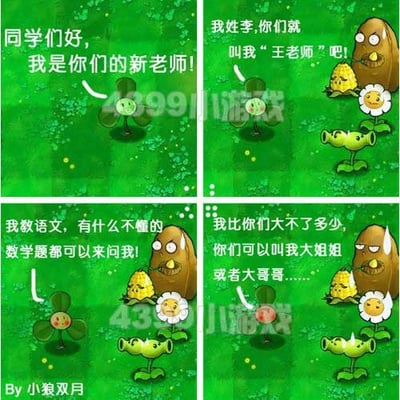 四格连环漫画，以《植物大战僵尸》游戏角色为主角，模拟新老师自我介绍场景。第一格三叶草挥手说“同学们好，我是你们的新老师！”；第二格坚果淡定表示“我姓李，你们就叫我‘王老师’吧！”（制造姓氏与称呼矛盾的笑点）；第三格三叶草继续介绍“我教语文，有什么不懂的数学题都可以来问我！”（学科混淆的幽默）；第四格坚果补充“我比你们大不了多少，你们可以叫我大姐姐或者大哥哥……”。画面背景为绿色草地，点缀三叶草图案，角色包括三叶草、向日葵、豌豆射手和坚果，整体风格轻松搞笑。