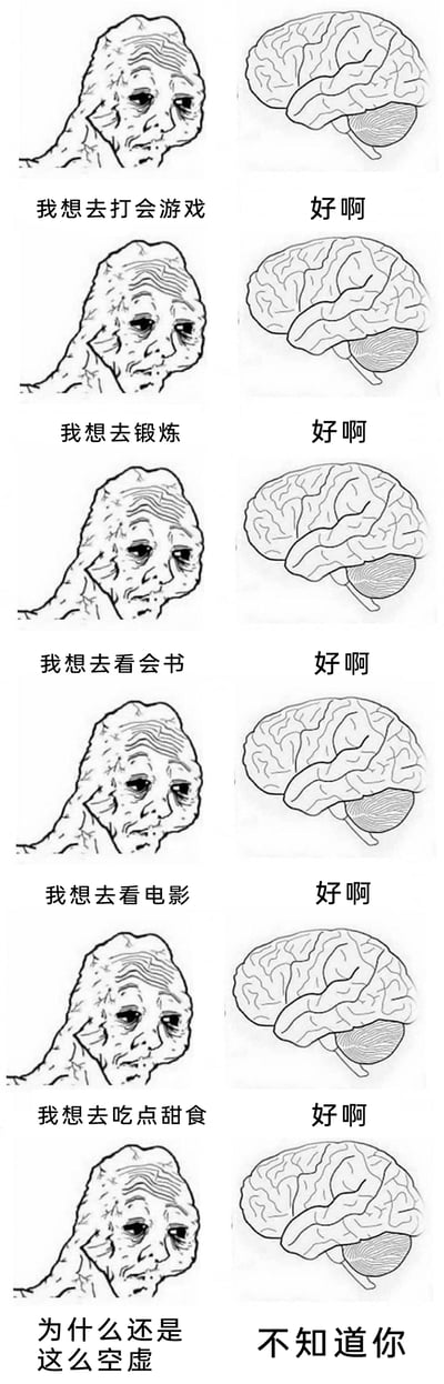 这是一组黑白线稿风格的连环图文，通过六组“自我”与“拟人化大脑”的对话，精准刻画了当代人普遍存在的精神空虚困境。左侧的“自我”面容布满皱纹、神情倦怠空洞，先后提出打游戏、锻炼、看书、看电影、吃甜食等多种生活选择，右侧的大脑形象均以“好啊”回应，没有任何主见或引导；当“自我”发出“为什么还是这么空虚”的灵魂拷问时，大脑也只能茫然回应“不知道你”。整组图以简洁的形式，戳中了很多人看似有丰富的事可做，却始终无法填补内心空洞、陷入无意义感的精神状态，引发强烈的情绪共鸣。