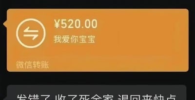 这是一张微信聊天界面的截图，上方是橙色的微信转账卡片，显示转账金额为520元，附带留言“我爱你宝宝”，卡片左下角标注有微信转账字样；下方紧跟着转账发送者发出的灰色气泡消息，内容为“发错了 收了死全家 退回来快点”。原本表达爱意的520转账和后续恶狠狠的威胁内容形成强烈反差，产生了搞笑的喜剧效果，是典型的网络搞笑梗图。