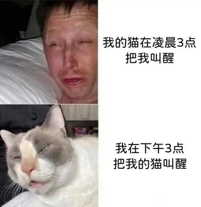 暂无描述
