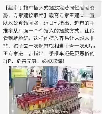 这是一张图文混排的恶搞梗图，上方是一段刻意编造的奇葩专家言论：声称教育专家王建立认为超市手推车从后往前插入式的摆放方式形似低俗的同性性爱姿势，甚至夸张地将一排手推车的摆放形容为“群P”，还荒谬地表示孩子看到这种摆放就像看A片，要求取缔该摆放方式；下方是超市里一排插在一起正常摆放的手推车实拍图。这张图通过制造脱离实际、过度上纲上线的荒诞言论来营造搞笑效果，用来调侃那些毫无根据、小题大做的奇葩观点，图中没有双关、谐音梗等内容。