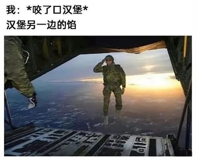 图片上方配有文字“我：*咬了口汉堡* 汉堡另一边的馅”，下方是一张士兵站在飞机舱门处敬礼的照片。士兵身着迷彩服，背景是广阔的天空和云层，营造出一种宏大、严肃的氛围。通过将咬汉堡这一日常小事与士兵敬礼的庄重场景结合，形成幽默的反差效果，暗示汉堡另一边的馅料出乎意料地“盛大”或“有排面”。