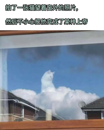 图片上方配有文字“拍了一张猫望着窗外的照片，然后不小心把他变成了某种上帝”，下方是一张经过编辑的照片：一只白色猫咪端坐于蓬松的云朵之上，背景是湛蓝天空，透过窗户玻璃可以看到窗外的屋顶轮廓。原本普通的猫咪照片因背景编辑产生了类似“上帝俯瞰人间”的戏剧化效果，形成幽默反差。