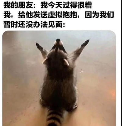 图片上方配有文字“我的朋友：我今天过得很糟 我，给他发送虚拟抱抱，因为我们暂时还没办法见面：”，下方是一只浣熊站立着仰头举起双爪的画面，仿佛在给予一个大大的拥抱。整体通过可爱的动物形象与生活化文字结合，幽默地展现了无法见面时，用虚拟方式安慰朋友的温暖场景，体现了远距离或暂时分离时的友情支持。