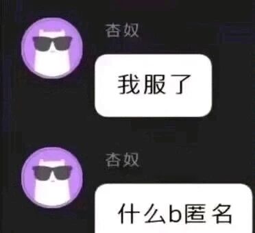 这是一张竖屏格式的社交聊天记录截图，背景为深色。用户“杏奴”的头像是一只戴着黑色墨镜的白色卡通猫，该用户先后发送了两条消息，第一条“我服了”传递出无奈的情绪，第二条“什么b匿名”则用口语化且带脏话的表达，强烈抒发了对匿名相关事物或情况的不满与无语，整体画面清晰，通过对话直观展现了用户的负面情绪。