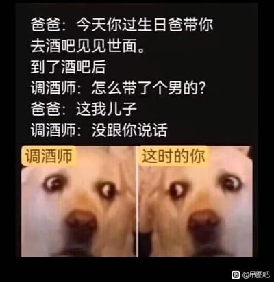 这是一张图文混排的搞笑梗图，上半部分为黑底白字的笑话内容：爸爸称要带过生日的儿子去酒吧见世面，抵达酒吧后调酒师询问「怎么带了个男的？」，爸爸回答「这我儿子」，调酒师随即回应「没跟你说话」，笑点在于该回答暗含调侃爸爸是同性恋、误以为儿子是爸爸带来的男伴的反转暗示。下半部分并排摆放两张完全相同的Cheems小狗瞪大眼睛的懵逼表情图，左侧标注「调酒师」，右侧标注「这时的你」，用小狗错愕的神态精准对应梗中两人的尴尬处境，放大了段子的喜剧效果。