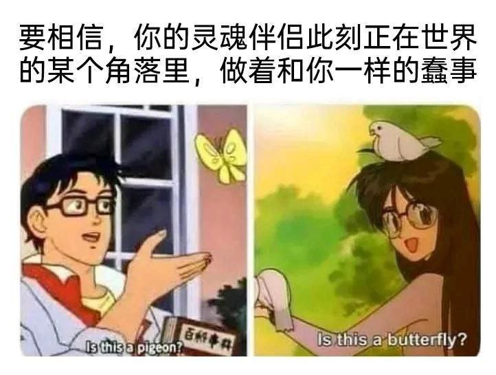 太阳の勇者ファイバード
