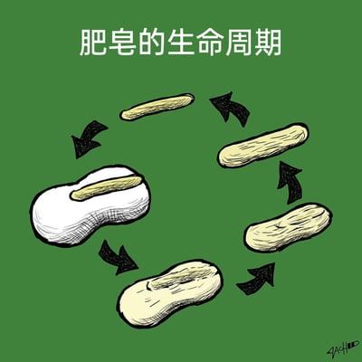 这是一幅绿色背景的卡通风格循环漫画，标题为“肥皂的生命周期”。画面用黑色箭头串联起肥皂的一系列变化，形成一个闭合循环：从带有肥皂托的完整白色新肥皂开始，随着使用逐渐变成变薄的浅黄色肥皂，接着形态愈发扁平和窄长，直至变成几乎快用完的细条形肥皂，最后又回到带有托的新肥皂状态。这幅漫画以荒诞的循环形式，调侃了日常生活中人们常把快用完的旧肥皂和新肥皂粘在一起继续使用，最终旧肥皂被消耗，新肥皂又开启消耗过程的常见习惯，充满生活趣味和脑洞。