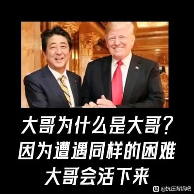 这是一张顶配底文的静态改图，上方是安倍晋三和特朗普面带笑容、彼此握手的真实合影照片，照片背景是装饰华丽的室内环境；照片下方配有醒目的白色简体中文文字：“大哥为什么是大哥？因为遭遇同样的困难大哥会活下来”。该图用两人的经历来调侃“大哥”在困境中能够存活的逻辑，属于网络上用来调侃生存能力的梗图，常被用来指代在困境中更能坚持到最后的人，多应用于职场、生活场景中抒发相关感慨。