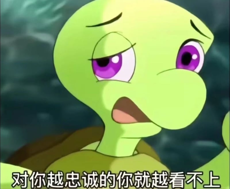憨八龟的故事