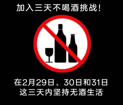 黑色背景的图片上方用白色文字写着“加入三天不喝酒挑战！”，中间是红色圆形禁止标志（内有斜杠）覆盖黑色剪影的酒杯、大酒瓶和小酒瓶图案，下方文字为“在2月29日、30日和31日这三天内坚持无酒生活”。图片通过虚构不存在的日期（2月最多28天或闰年29天，不存在30日和31日）制造幽默效果，本质是对“挑战”的轻松调侃，暗示这三天实际上不存在，因此挑战毫无难度。