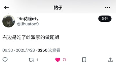 这是一张类Twitter风格的中文社交平台帖子截图，发布者账号为“+✧∂花瞳σ✧+”（@lihuaton9），发布时间为2025年7月28日9:30。帖子内容为“右边是吃了雌激素的做题蛆”，其中“做题蛆”是网络上对专注刷题、擅长应试群体的歧视性称呼，结合“吃了雌激素”的表述，是对特定群体的双重嘲讽，使用了带有歧视性和攻击性的词汇。该帖子获得了3250次查看、71个点赞和1次转发，界面展示了社交平台的标准互动按钮（评论、转发、点赞、收藏、分享）。