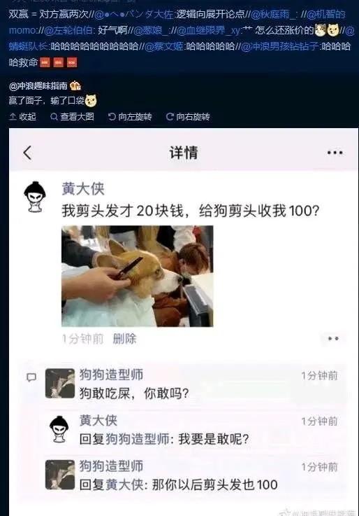 柯基犬