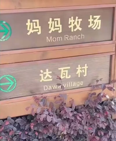 图片展示了两块垂直排列的木质指示牌。上方指示牌主体为深棕色，左侧有绿色箭头图标，中间用黄色中文书写“妈妈牧场”，下方配有白色英文“Mom Ranch”；下方指示牌设计相似，左侧同样有绿色箭头图标，中间黄色中文为“达瓦村”，下方白色英文“Dawa Village”。指示牌底部有紫色的叶状植物作为装饰，整体构图清晰，信息明确。