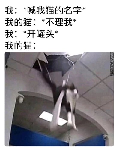 这是一张调侃养猫日常的搞笑梗图，通过文字对话与画面结合的方式，展现猫咪的“双标”行为：当主人呼喊猫的名字时，猫咪完全不予理会；但当主人做出开罐头的动作时，猫咪会瞬间变得极度急切，用一张特摄影视中蝙蝠状角色飞速俯冲的画面来表现猫咪此时的状态，夸张又生动地突出了猫咪对食物的强烈执念，充满趣味。