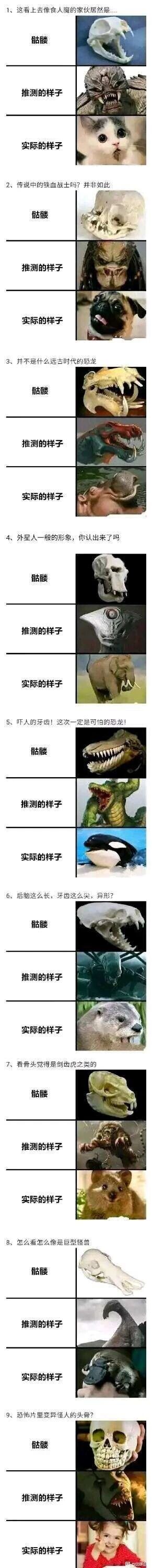 《异形》系列影视