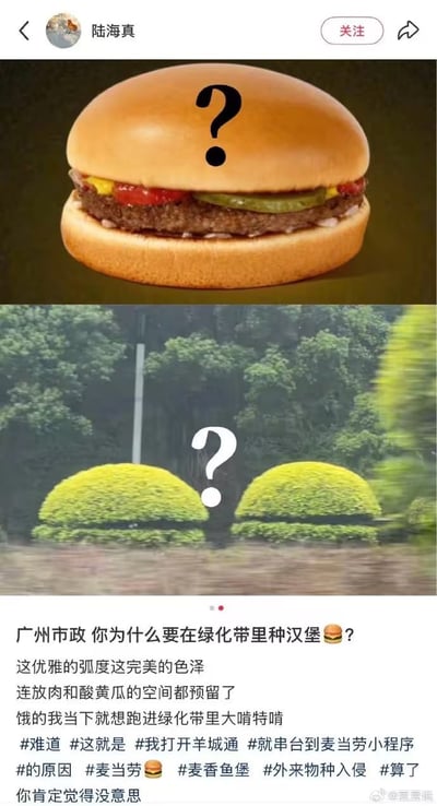 社交媒体用户'陆海真'发布的趣味对比图：上图是顶部带黑色问号的汉堡特写（面包、肉饼、生菜、酸黄瓜等配料齐全），下图是广州某绿化带中两颗修剪成圆形、形似汉堡胚的绿色灌木。配文幽默吐槽市政绿化'种汉堡'，调侃灌木'优雅的弧度和完美色泽，连放肉和酸黄瓜的空间都预留了'，并玩梗#打开羊城通串台麦当劳小程序#外来物种入侵，用吃货视角解构城市景观，引发会心一笑。