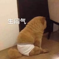 猫咪