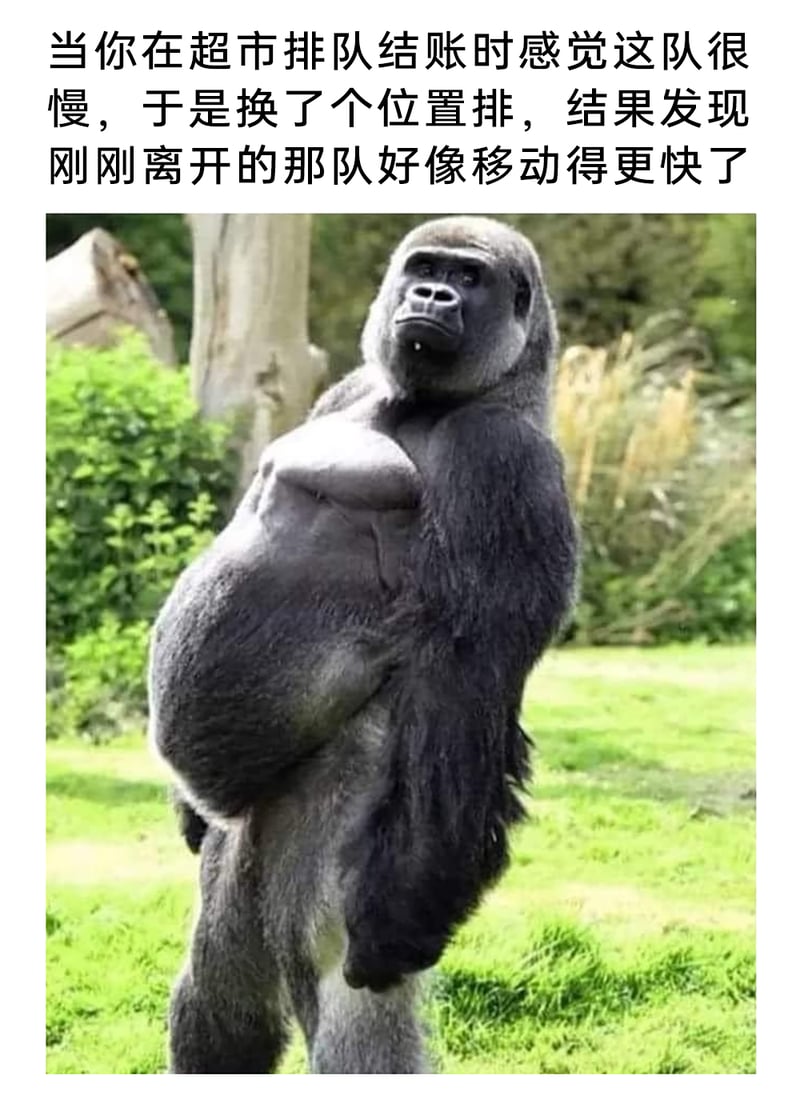 日本上野动物园