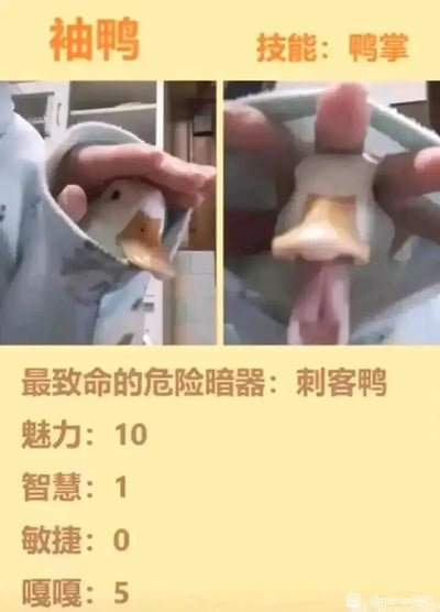 这是一张图文混排的左右对比趣味梗图，将一只鸭子玩偶设定为“袖鸭（刺客鸭）”制造搞笑效果。左图展示鸭子玩偶从袖子中探出头，被手遮挡部分身体的样子；右图则是手部做出类似鸭掌的姿势，和鸭子玩偶组合，模拟出完整的鸭子形态。图片下方的文字为这个“袖鸭”赋予了趣味设定：技能是鸭掌，被称作“最致命的危险暗器”，同时给出了一组反差感拉满的属性数值：魅力10、智慧1、敏捷0、嘎嘎5，用夸张且不符合常理的属性设定来制造笑点，整体风格轻松幽默，属于典型的社交平台分享类meme图。