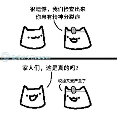 这是一张黑白卡通风格的meme图，展示了两只猫的对话。上方戴帽子的猫对另一只猫说："很遗憾，我们检查出来你患有精神分裂症"。下方另一只猫回应："家人们，这是真的吗?"，而戴帽子的猫则说："哎操又变严重了"。图片通过精神分裂症患者与自己对话的设定制造黑色幽默效果。