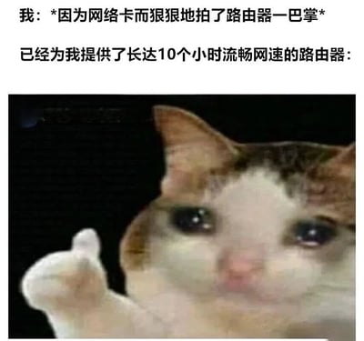 这是一张幽默表情包，上方文字描述了"我因为网络卡而狠狠地拍了路由器一巴掌"，下方文字则揭示"已经为我提供了长达10个小时流畅网速的路由器"，配图是一只含泪的猫咪竖起大拇指，形成强烈反差萌效果，幽默地表达了人们在网络出现问题时对路由器又爱又恨的无奈情绪。