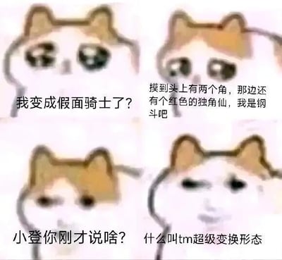 这是一张由四张mur猫抽象表情包拼接而成的连环梗图，以四格叙事的方式演绎了一个结合假面骑士特摄梗的搞笑场景。第一格中，mur猫露出疑惑的表情，配文“我变成假面骑士了？”，表现出角色的困惑；第二格mur猫呈思索状，配文“摸到头上有两个角，那边还有个红色的独角仙，我是钢斗吧”，这里对应《假面骑士Kabuto》中假面骑士钢斗的形象特征——钢斗以独角仙为设计原型，头部有角且带有红色元素；第三格mur猫露出疑惑又带点愤怒的表情，配文“小登你刚才说啥？”；第四格mur猫表情暴躁嫌弃，配文“什么叫tm超级变换形态”，而“超级变换形态”正是假面骑士钢斗的标志性变身台词，图中通过角色刚自我认定是钢斗，却对其核心变身台词表现出完全陌生的暴躁态度，形成强烈的反差感，制造出搞笑效果，是网友将抽象表情包与特摄梗结合创作的趣味内容。