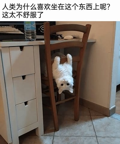 这张图片展示了室内书桌旁的趣味场景：一只白色猫咪以极具反差感的姿势倒挂在木质餐椅的椅背上，它四肢朝上伸展，整个身体悬在靠背与坐垫之间，脑袋朝下，睁着圆溜溜的大眼睛，露出一脸疑惑的神情。图片上方配有拟人化的文字：“人类为什么喜欢坐在这个东西上呢？这太不舒服了”，以猫咪的视角吐槽人类坐椅子的常规姿势，和猫咪自己的奇特坐姿形成强烈反差，充满萌趣与笑点。画面中的书桌是浅灰色带抽屉的款式，桌面上放置着水瓶等物品，地面是浅色瓷砖，整体是温馨的居家日常场景。
