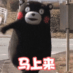 动图中熊本熊（Kumamon）在户外场景中，身体左右摇摆，双臂张开做出挥手动作，表情热情活泼，下方配有红色文字'马上来'，整体呈现出积极回应、即将赶到的生动画面，传递出亲切友好的氛围。