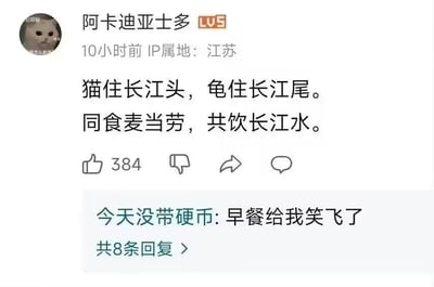 这是一张哔哩哔哩（B站）的评论区截图，用户「阿卡迪亚士多」（头像为一只表情冷漠的猫咪，账号等级LV5，IP属地江苏）发布了改编自宋代词人李之仪《卜算子·我住长江头》的打油诗：「猫住长江头，龟住长江尾。同食麦当劳，共饮长江水。」将原诗中恋人相隔长江的相思之情，替换为猫和龟隔着长江同吃麦当劳的无厘头场景，用日常化的快餐元素与经典古诗结合，制造出强烈的反差搞笑效果。该评论获得了384个点赞，下方有用户「今天没带硬币」评论「早餐给我笑飞了」，表达了对这条搞笑评论的喜爱。