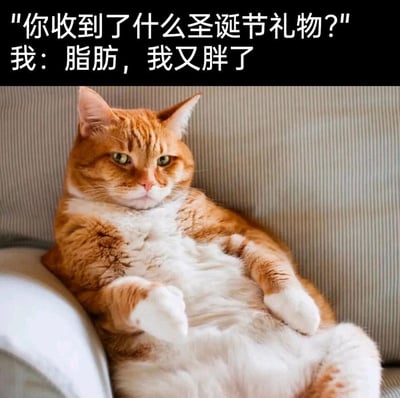 这是一张贴合圣诞节场景的搞笑自嘲梗图，顶部设置了一段对话：提问者询问圣诞节收到的礼物，“我”则无奈表示自己的礼物是“脂肪”，暗指节日期间因饮食放纵导致体重上涨。下方搭配一只圆滚滚的橘白相间猫咪，它瘫靠在沙发上，露出硕大的肚子，表情生无可恋、慵懒无奈，完美呼应了文字所表达的发胖后的无奈心情，极易引发有相同经历的人的共鸣，用幽默的方式调侃节日发胖的普遍现象。