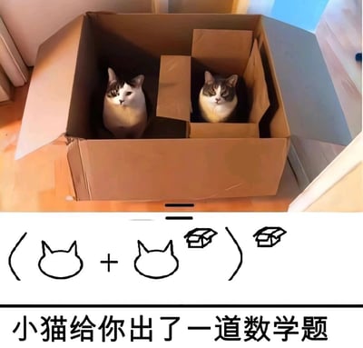 这是一张结合猫咪习性与数学知识点的趣味梗图。上方实拍部分展示了一个大纸箱内的场景：左侧直接待着一只白棕相间的猫咪，右侧是一个小纸箱，小纸箱里待着一只虎斑白肚的猫咪，两只猫咪都平静地看向镜头。下方用简笔画符号将这个场景转化为类似乘法分配律的数学式子，把纸箱当作“乘数”，(猫+猫)与箱子的组合对应图中“一只猫在大箱里、一只猫在大箱内的小箱里”的画面，底部配文“小猫给你出了一道数学题”，通过猫咪爱钻纸箱的常见特点，结合数学分配律的形式制造脑洞趣味，用视觉化的方式玩了数学运算的梗。