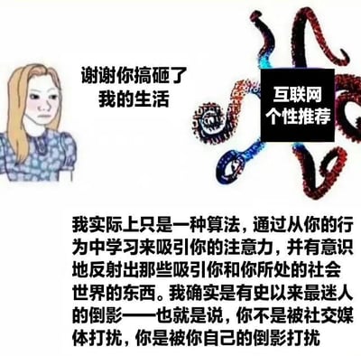 图片左侧是一位金发卡通女性，表情略显无奈，旁边配有文字“谢谢你搞砸了我的生活”。右侧是一个由红、蓝、黑等颜色组成的类似章鱼触手的抽象结构，上方有黑色背景白色文字标签“互联网个性推荐”。图片下方有一段较长文字，解释互联网个性推荐本质是一种算法，通过学习用户行为吸引注意力，反射用户自身及社会世界的兴趣点，指出用户并非被社交媒体打扰，而是被自己的“倒影”打扰。