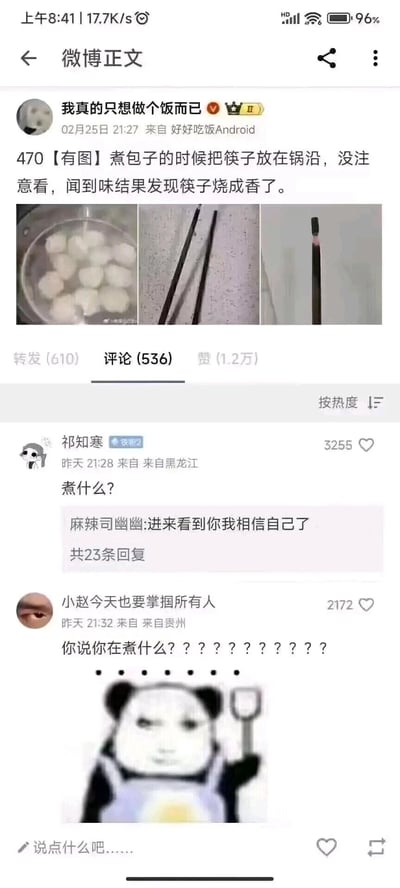这是一张竖屏的微博内容截图，博主“我真的只想做个饭而已”分享了自己的做饭翻车经历：煮包子时将筷子放置在锅沿，因疏忽没留意到筷子被烧黑，最终外形看起来像香一样。博主同时配上了三张图，分别是煮着白色包子的锅、两根整体烧黑的筷子、一根单独摆放形似香的烧黑筷子。该条微博获得了1.2万点赞、610次转发和536条评论。评论区里，用户“祁知寒”的灵魂疑问“煮什么？”成为热评，获得3255个赞；用户“小赵今天也要掌掴所有人”则用一连串问号搭配举着锅铲的熊猫头表情包，表达了同款疑惑，整体内容充满搞笑的生活气息，是典型的日常做饭失误的趣味分享。