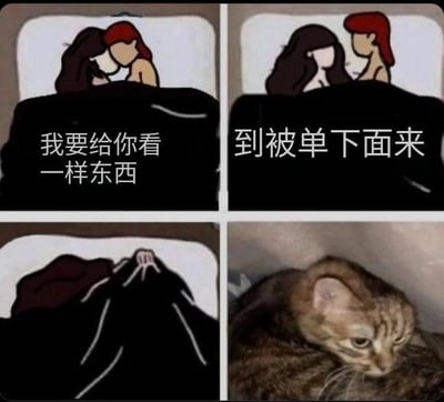 这是一组四格连环拼贴梗图，前三格为卡通剧场内容：第一格中红头发卡通女生亲昵地对黑头发女生说“我要给你看一样东西”；第二格黑头发女生回应“到被单下面来”；第三格两人一同钻进被单中，营造出即将揭晓惊喜的氛围。第四格则是现实中的一只表情慵懒、略带无奈的猫咪，与前三格的期待感形成强烈反差，制造出“被单下的东西就是这只猫”的搞笑效果，通过前后场景的反差来传递笑点，没有双关或谐音梗。