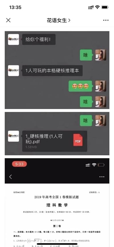 这是由两部分组成的多图拼接聊天记录截图，上半部分为“花语女生”聊天界面，名为“浣熊院长”的用户先提出要给对方福利，介绍是1人可玩的本格硬核推理本，接收方多次回复“啥”表达疑惑，随后“浣熊院长”发送了名为《1_硬核推理(1人可玩).pdf》的文件；下半部分是打开该PDF后的实际内容，并非推理本，而是2019年高考全国1卷模拟试题理科数学试卷，通过这种反差感制造“整活”的搞笑效果，调侃高考数学题难度如同硬核推理一般烧脑。