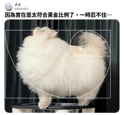 暂无描述