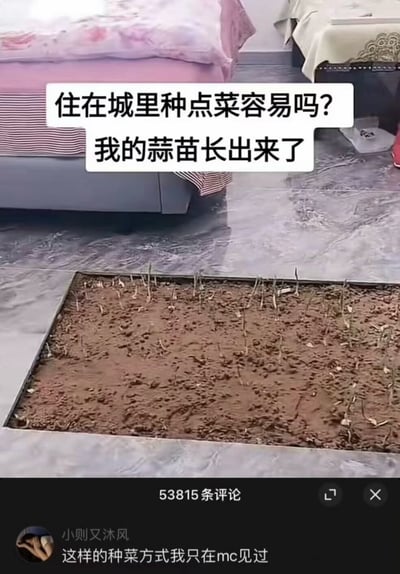 这张图展示了一间卧室，床铺旁边的地板上被凿开成一块菜地，里面密集地种着刚刚发芽的蒜苗。配文“住在城里种点菜容易吗？我的蒜苗长出来了”，下方还有评论说“这样的种菜方式我只在mc见过”，幽默调侃现实生活中在城市卧室种菜的奇特方式，和游戏《我的世界》（Minecraft）联动产生了强烈的违和和二次创意感。整体氛围轻松搞笑，现实与虚拟空间双关，视觉冲击力强。