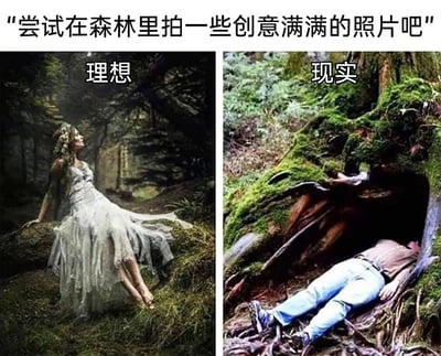 这是一张左右分栏的对比梗图，顶部配文“尝试在森林里拍一些创意满满的照片吧”，明确了图片的核心主题。左侧标注为“理想”的场景中，一位身着飘逸白色纱裙的女子，姿态优雅地倚靠在覆满苔藓的树干上，抬头望向远方，裙摆自然垂落，画面充满梦幻唯美的氛围，仿佛森林中的精灵；右侧标注为“现实”的场景里，一名穿着日常休闲装的男子，狼狈地躺在树根下方，头部钻进树洞里，姿态毫无美感，与左侧的理想场景形成极其强烈的反差，用幽默夸张的方式，调侃了普通人模仿网红创意摄影时的翻车窘境，凸显了理想与现实的巨大差距。