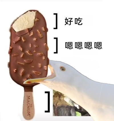 这是一张经过创意拼接的趣味图片，通过视觉错位的手法将海鸥的头部与梦龙巧克力坚果冰淇淋结合，制造出海鸥正在啃食冰淇淋的荒诞效果。图片右侧对应位置搭配了“好吃”“嗯嗯嗯嗯”的文字，模拟出海鸥享用美食时的满足反应，整体风格诙谐搞笑，适合作为表情包或趣味内容在网络上分享，用错位拼接的方式营造出轻松有趣的氛围。