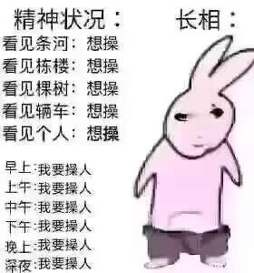 这是一张图文混排的恶搞梗图，右侧是一个表情冷漠、身着粉色上衣与黑色裤子的卡通兔子形象；左侧分为上下两部分文字：上方以“精神状况：”为开头，罗列了看见河流、楼栋、树木、车辆、行人时都产生“想操”的极端表述；下方则按从早到晚的时间顺序，重复“我要操人”的文字。整张图通过重复且低俗恶搞的文字，制造出戏谑、荒诞的搞笑效果，用来夸张地表达一种失控的情绪。