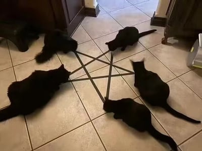 图片中五只纯黑色的猫咪分别蹲坐在瓷砖地板上用线条画出的五角星五个顶点处，每只猫都低头朝向五角星的中心，形成一种神秘又略带滑稽的阵型。背景可见房间的门框和部分家具，整体氛围因猫咪的排列方式显得既诡异又可爱。