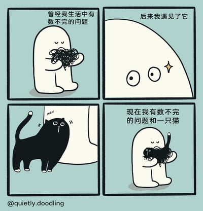 这是一幅四格治愈系手绘涂鸦漫画，以拟人化的白色幽灵为主角，讲述了生活的变化：第一格中，幽灵抱着一团杂乱的黑线（象征数不清的生活问题），神情苦恼，配文“曾经我生活中有数不完的问题”；第二格中，幽灵睁着亮晶晶的眼睛探出头，配文“后来我遇见了它”，满是惊喜；第三格中，一只圆滚滚的胖黑猫蹭向幽灵，发出“mew”的叫声，揭晓了“它”的身份；第四格中，幽灵同时抱着代表问题的乱线和黑猫，神情平和满足，配文“现在我有数不完的问题和一只猫”，传递出即使生活的烦恼依旧存在，但宠物的陪伴能为生活增添温暖与慰藉的治愈感。