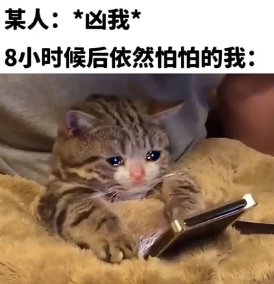 图片上方配有文字“某人：*凶我* 8小时候后依然怕怕的我：”，下方是一只虎斑猫躺在毛茸茸的垫子上，前爪搭着手机，睁着大大的蓝色眼睛，表情委屈又可怜，生动展现了被人凶过后长时间处于害怕情绪中的状态。