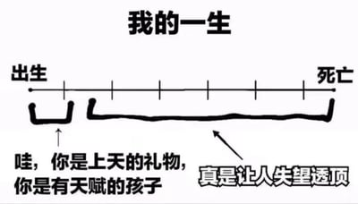 这是一张以时间线形式呈现的人生讽刺梗图。图中上方有标题"我的一生"，中间是一条从"出生"到"死亡"的水平时间轴，下方有一条波浪线代表人生轨迹。轨迹在起点处较高，配有文字"哇，你是上天的礼物，你是有天赋的孩子"；中间部分大幅下降并保持低水平；终点处再次上升，配有文字"真是让人失望透顶"。通过这种视觉对比，幽默地表达了现实中人们对他人期望从高到低的转变过程。