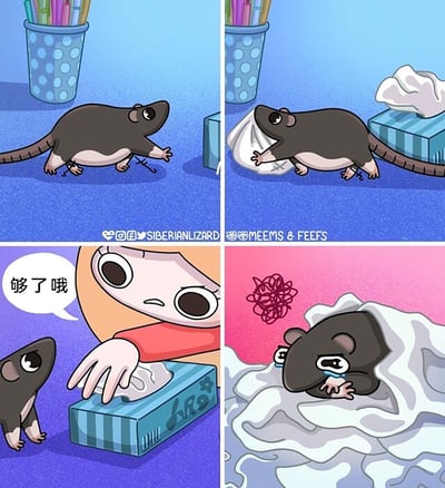 暂无描述