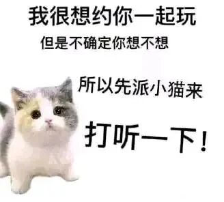 这是一张竖屏手机格式的静态单图，属于顶配底文图与图文混排的表情素材图，由网红宠物猫照片P图改编而来。画面主体是一只灰白黄三色的小猫，它安静端坐，眼神软萌，带着些许小心翼翼的神态。图中配有委婉的邀约文字：“我很想约你一起玩，但是不确定你想不想，所以先派小猫来打听一下！”，用可爱的小猫作为载体，传递出想要邀约对方却又羞涩不好意思直接开口的心情，语气软萌温和，适合在聊天中向朋友发出邀约，不会显得生硬突兀。
